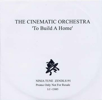The Cinematic Orchestra - To Build A Home (cover)