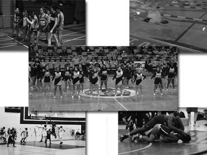 Winter Sports Collage