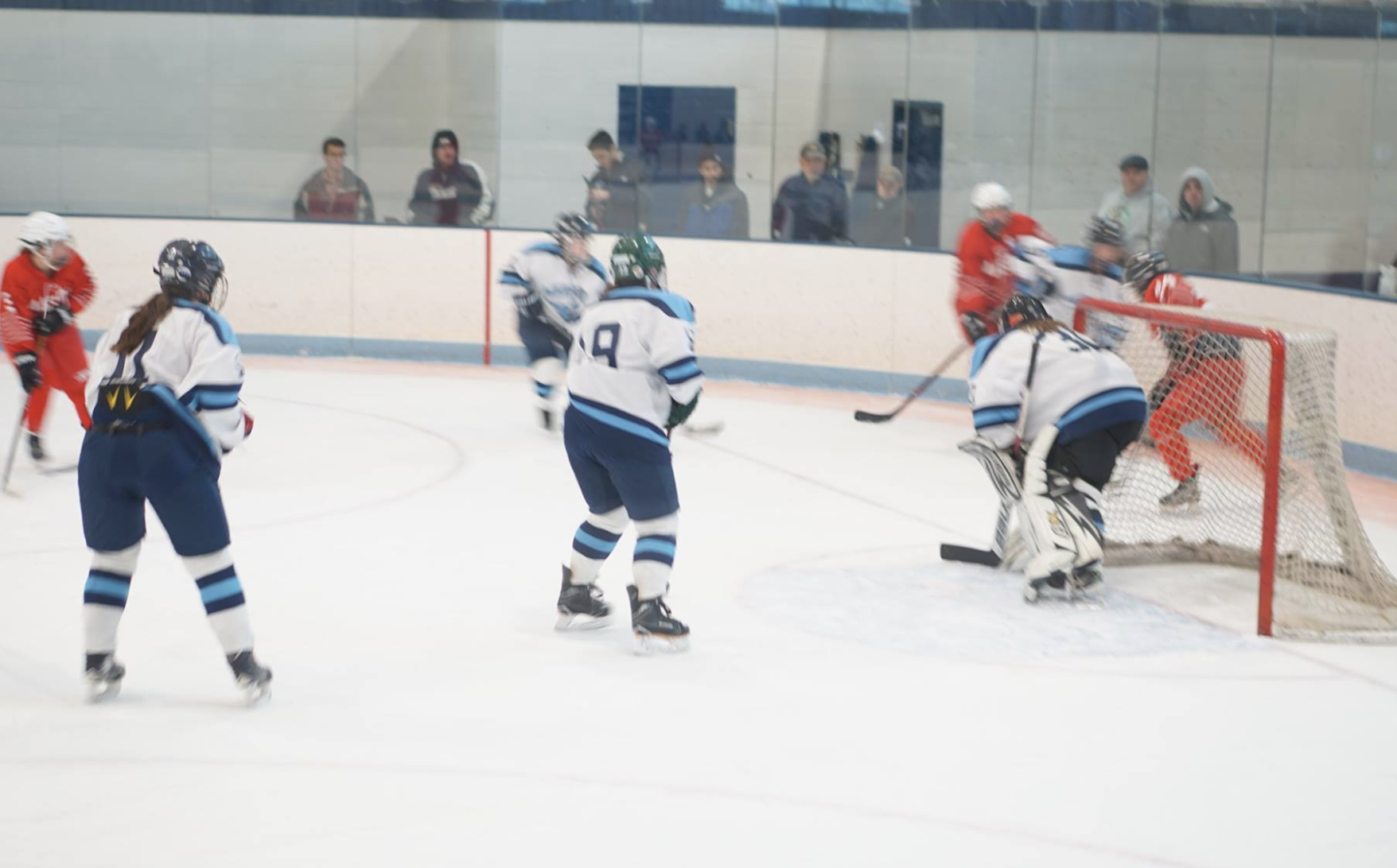Medford/Malden Girls Hockey Photo Gallery - The Blue and Gold
