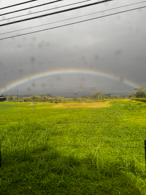 A rainbow appears after heavy rainfall in one of the Costa Rican microclimates. THOMAS TIERNEY
