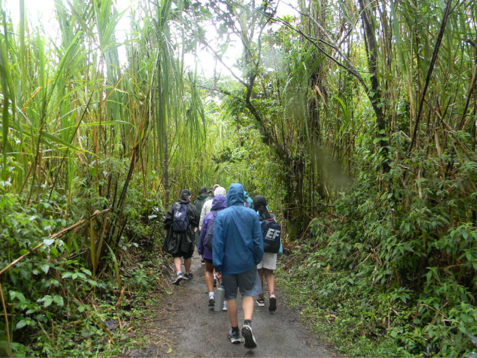 The Tornado Travelers tour a rainforest. THOMAS TIERNEY