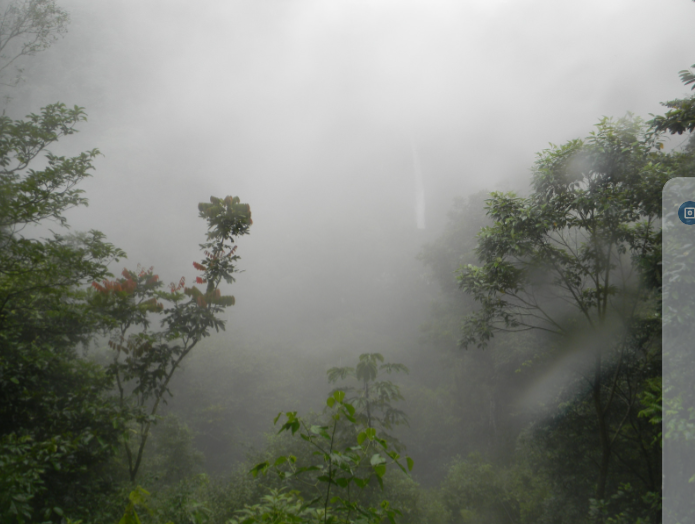 Foggy view of waterfall. THOMAS TIERNEY