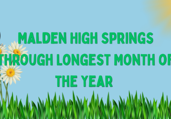 Screenshot 2026-04-01 2.25.42 PM