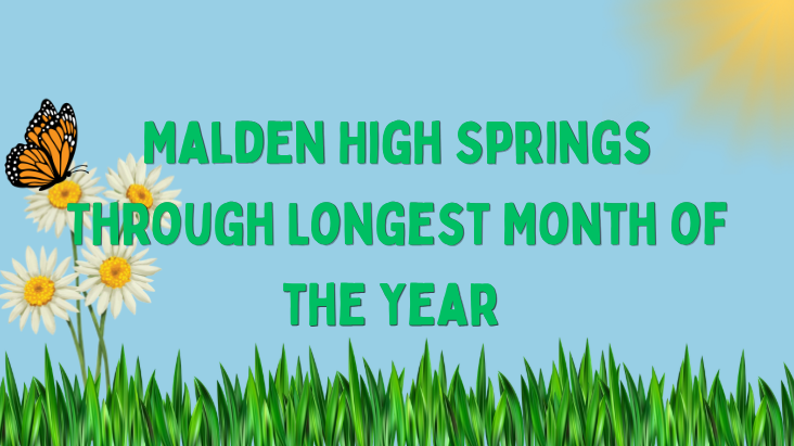 Screenshot 2026-04-01 2.25.42 PM